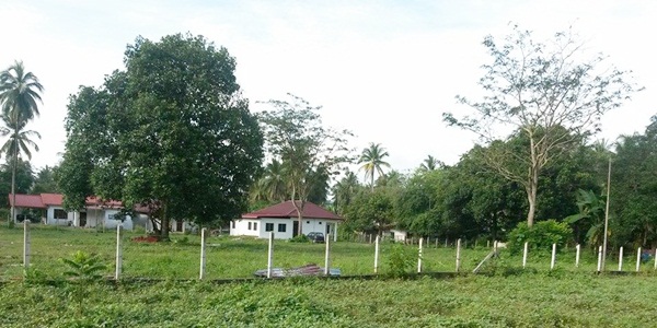 tanah untuk di jual di langkawi